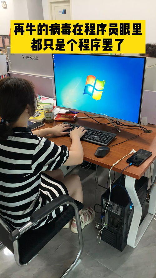 代碼視界 程序員眼中的一切皆是程序